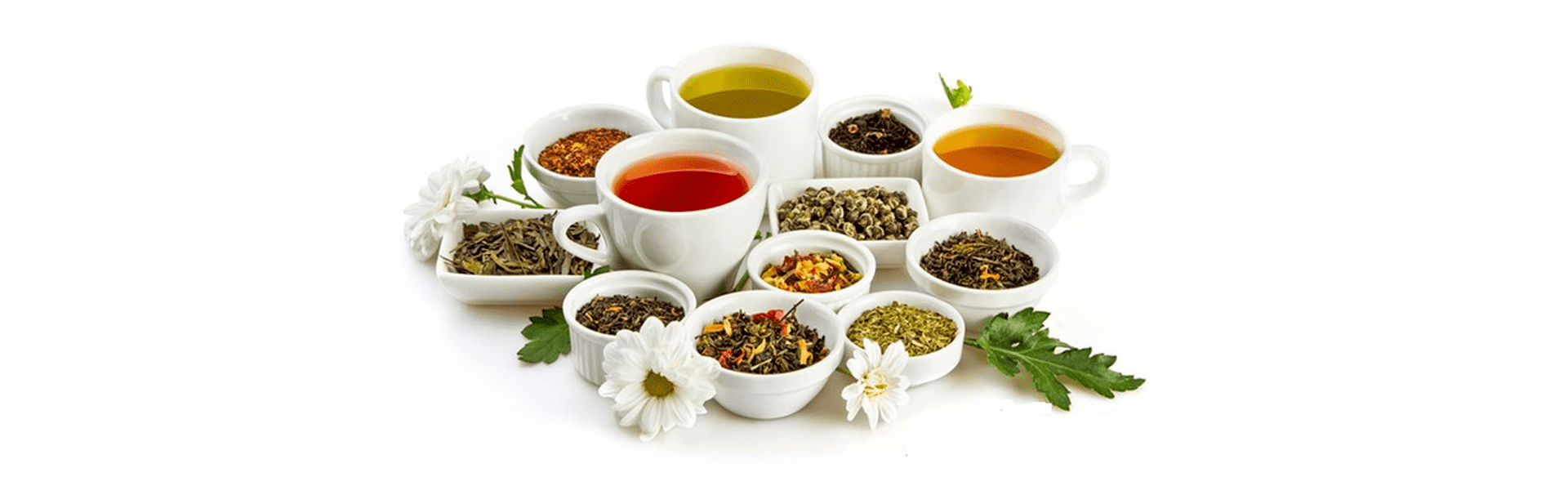 Chữa đau xương khớp