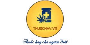CSDL Thuốc Hay Việt Nam