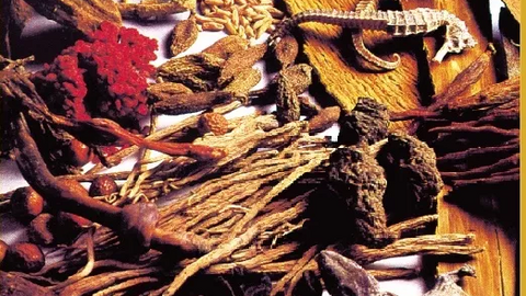 Thất bảo mỹ nhiêm đơn – phương thuốc dưỡng huyết, bổ can thận và hỗ trợ sinh lý tóc trong Đông y