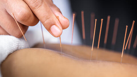Ngũ Khí Trường Thọ – Hành trình nuôi dưỡng sinh lực và kiến tạo tuổi thọ bền vững tại Nam Y Quán