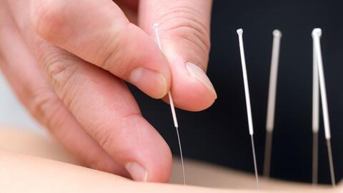 Trường Thọ Dưỡng Sinh – Hành trình tái tạo sức khỏe toàn diện và nuôi dưỡng tuổi thọ tự nhiên tại Nam Y Quán