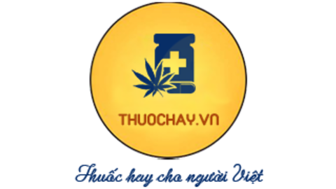 Yến test