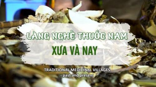 Làng nghề thuốc Nam - Xưa và Nay