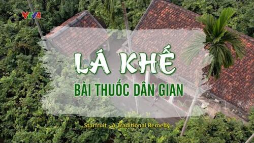 Lá khế - Bài thuốc dân gian